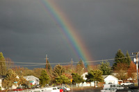 January 11.08 Leaves Rainbow