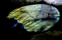 October 2.16 Agate Prism Labradorite Wings