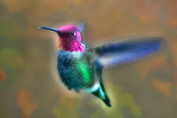 Neon Hummingbird